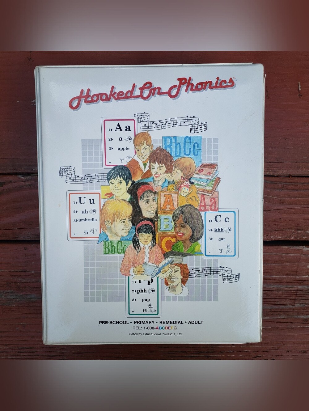 Hooked On Phonics Kit (Books, Cassette Tapes, Flash Cards & Holder)